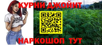 гашик Шахты