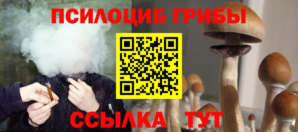 Екатеринбург  Псилоцибиновые грибы Magic Shrooms  Вход с VPN 